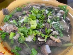 -小杨翘脚牛肉