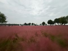 -汉长安城未央宫国家考古遗址公园