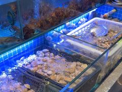 -神帆·元气汤泉(解放西路店)