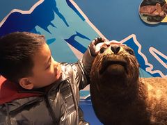 -多彩贵州城极地海洋世界