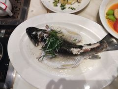 -稻香酒家·35年老字号(侨光店)