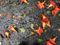 -杭州西湖风景名胜区-满觉陇四眼井