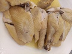 -鹭园酒家·四十年老字号