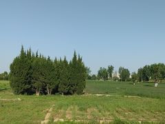 -汉长安城未央宫国家考古遗址公园