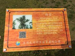 -太湖湖滨国家湿地公园-停车场