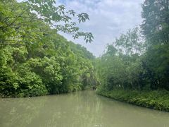 -同里国家湿地公园