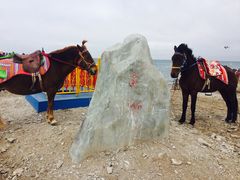 -青海湖国家重点风景名胜区