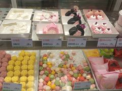 -京北大世界