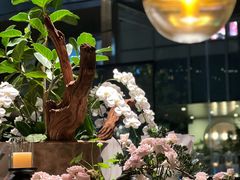 -晶采轩(万象天地店)