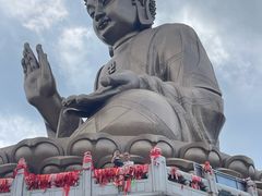 -龙口南山旅游景区