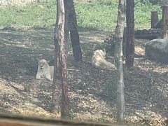 -泉州海丝野生动物世界