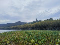 -王氏烧饼无矾油条