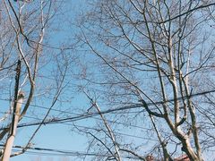 -上海市黄浦区香山中医医院