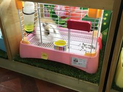 -宠物兔专门店(天丰利市场店)
