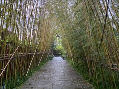 -新荣记(西溪湿地店)