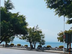 -野菌皇海景野生菌火锅(滨海大道店)