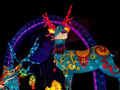 -武汉园博园(武汉自然博物馆)