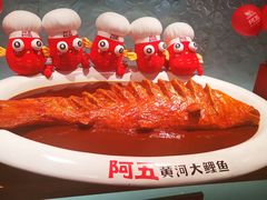 -阿五黄河大鲤鱼(英协路店)