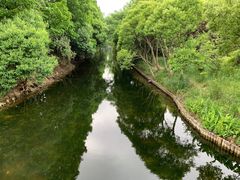 -上海滨江森林公园