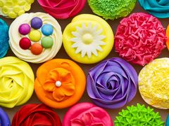 -卡吉诺动物奶油生日蛋糕(东明路店)