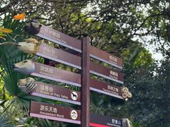 -深圳野生动物园