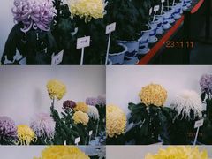 -杭州植物园