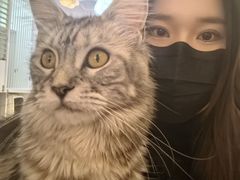-MOCHA明星猫咖(田子坊店)