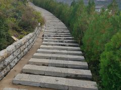 -五龙城郊森林公园