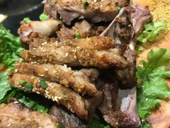 -蒙料·手把肉(望京店)