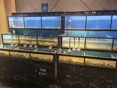 -五月罗马海鲜自助餐厅(陆家嘴店)