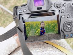 -汉长安城未央宫国家考古遗址公园