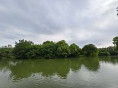 -中国湿地博物馆