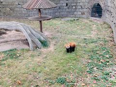 -上海野生动物园
