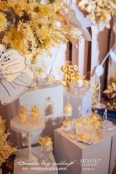 -苏州吴江瑞廷西郊酒店·宴会厅