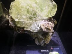 -中华赏石园
