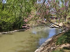 -上海交通大学(闵行校区)