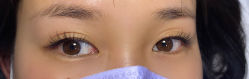 -丽尔美睫