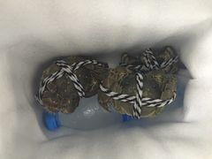 -喜洋洋蟹庄(阳澄湖店)