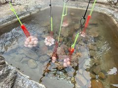 -天芳悦潭度假村温泉