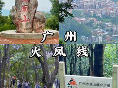 -火炉山森林公园
