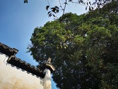 -塔川景区