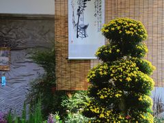 -杭州植物园