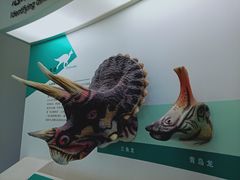 -安徽省地质博物馆