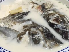 -全乐鱼馆·淳牌有机鱼直营店