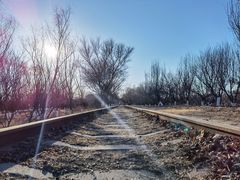 -永定河休闲森林公园