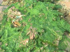 -青岛第三海水浴场