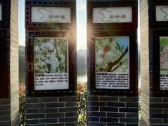 -重庆彩云湖湿地公园