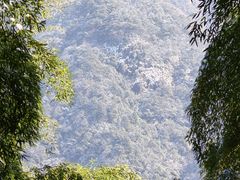 -安吉龙王山风景区