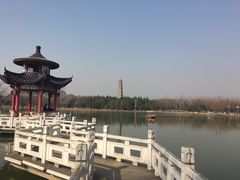 -祥源·阜阳生态乐园