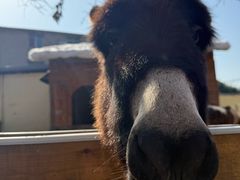 -HERRE·FARM 赫尔露营农场·团建聚会包场